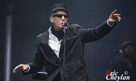 Alain Bashung, La Fête de l'Humanité (Paris), 13 septembre 2008, © Eric Cheylan / https://lovinglive.fr