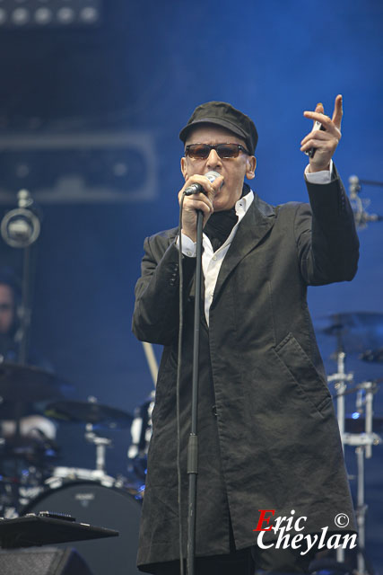 Alain Bashung, La Fête de l'Humanité (Paris), 13 septembre 2008, © Eric Cheylan / https://lovinglive.fr