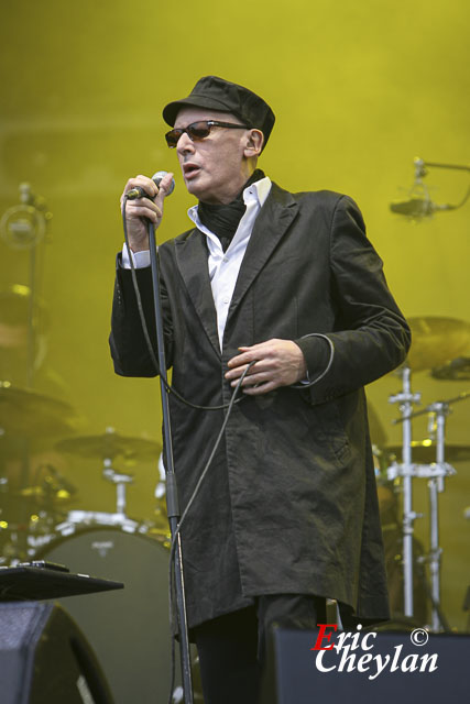 Alain Bashung, La Fête de l'Humanité (Paris), 13 septembre 2008, © Eric Cheylan / https://lovinglive.fr