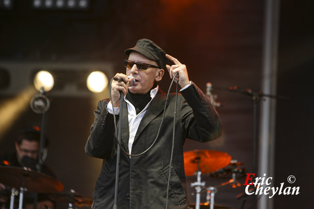 Alain Bashung, La Fête de l'Humanité (Paris), 13 septembre 2008, © Eric Cheylan / https://lovinglive.fr