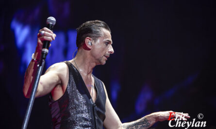 Depeche Mode, Accor Arena (Paris), 29 janvier 2014, © Eric Cheylan / https://lovinglive.fr