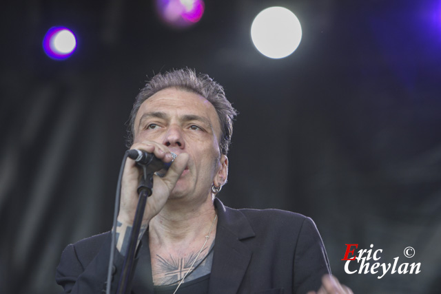 Daniel Darc, Festival Le Bruit de Melun (Melun), 28 juin 2008, © Eric Cheylan / https://lovinglive.fr