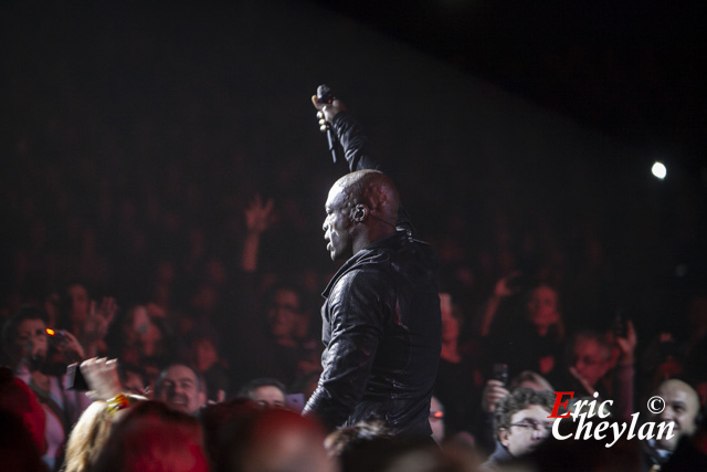 Seal, Le Zénith (Paris), 2 décembre 2012, © Eric Cheylan / https://lovinglive.fr