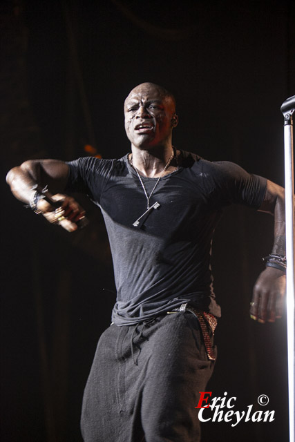 Seal, Le Zénith (Paris), 2 décembre 2012, © Eric Cheylan / https://lovinglive.fr