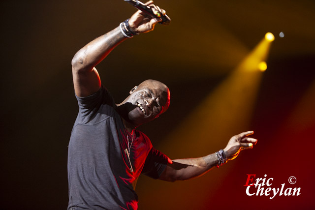 Seal, Le Zénith (Paris), 2 décembre 2012, © Eric Cheylan / https://lovinglive.fr