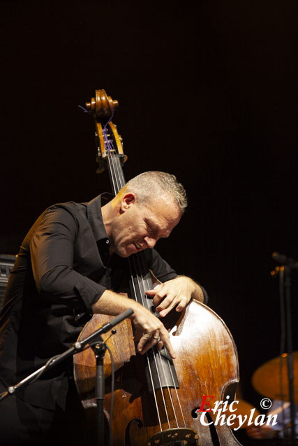Avishai Cohen (Paris), 4 novembre 2013, © Eric Cheylan / https://lovinglive.fr