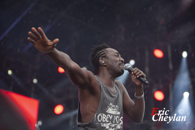 FFF, Le Printemps Solidaire (Paris), 17 septembre 2017, © Eric Cheylan / https://lovinglive.fr
